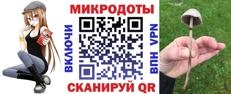 кракен зеркало  Вяземский  Псилоцибиновые грибы Psilocybine cubensis  купить наркотик 